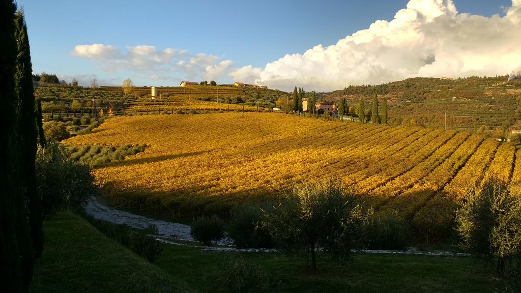 B&B Villa Roncatti Parona di Valpolicella Eksteriør bilde